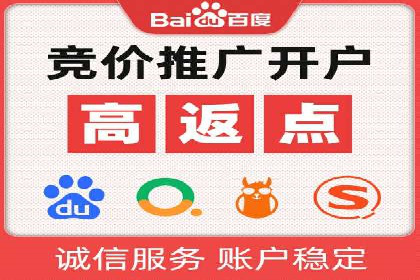 百度竞价代理的客户案例：如何实现ROI最大化